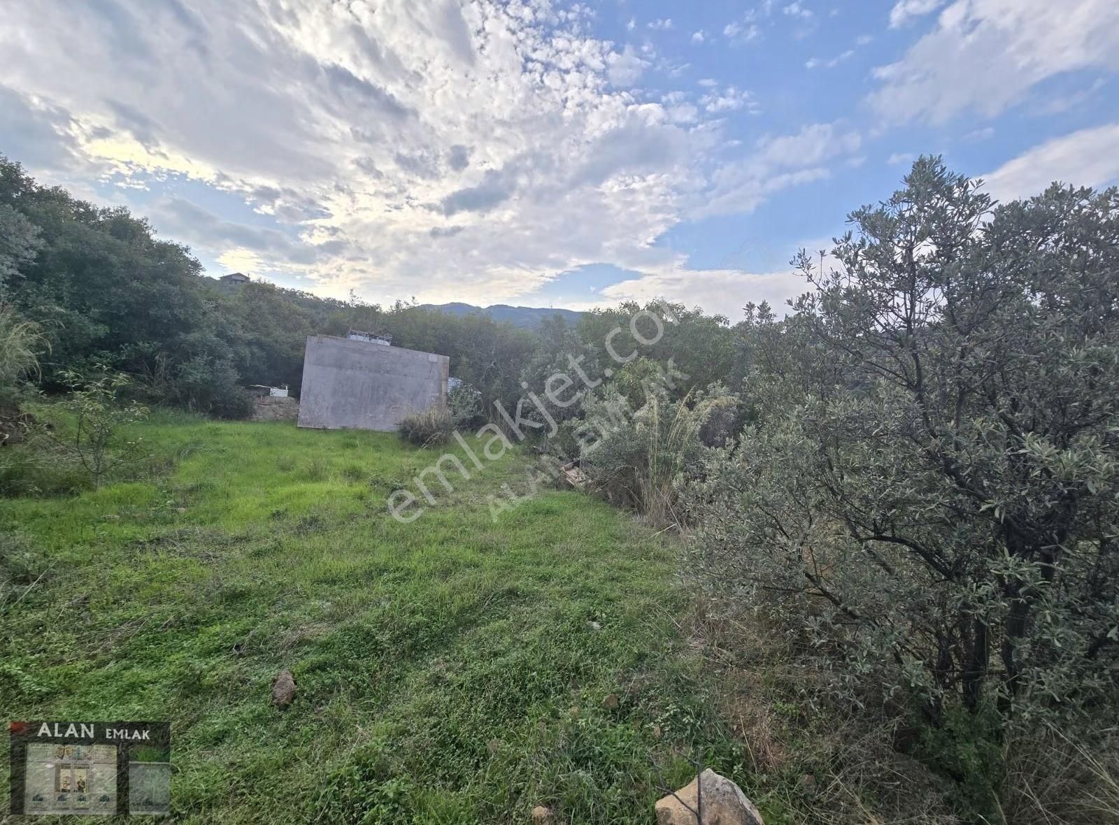 Mudanya Halitpaşada Satılık Toplam 12.803m2 Açıklamayı Okuyunuz! - Görsel 14