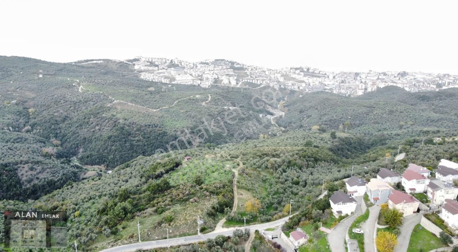 Mudanya Halitpaşada Satılık Toplam 12.803m2 Açıklamayı Okuyunuz! - Görsel 15