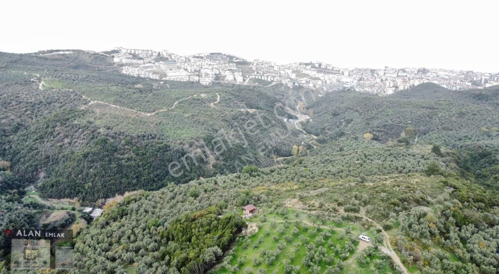 Mudanya Halitpaşada Satılık Toplam 12.803m2 Açıklamayı Okuyunuz! - Görsel 20