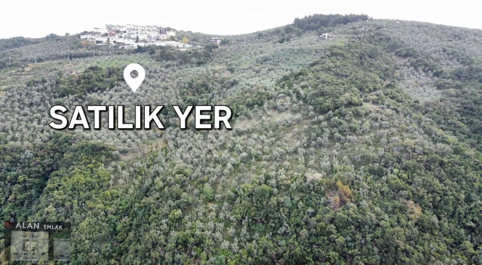 Mudanya Halitpaşada Satılık Toplam 12.803m2 Açıklamayı Okuyunuz! - Görsel 19