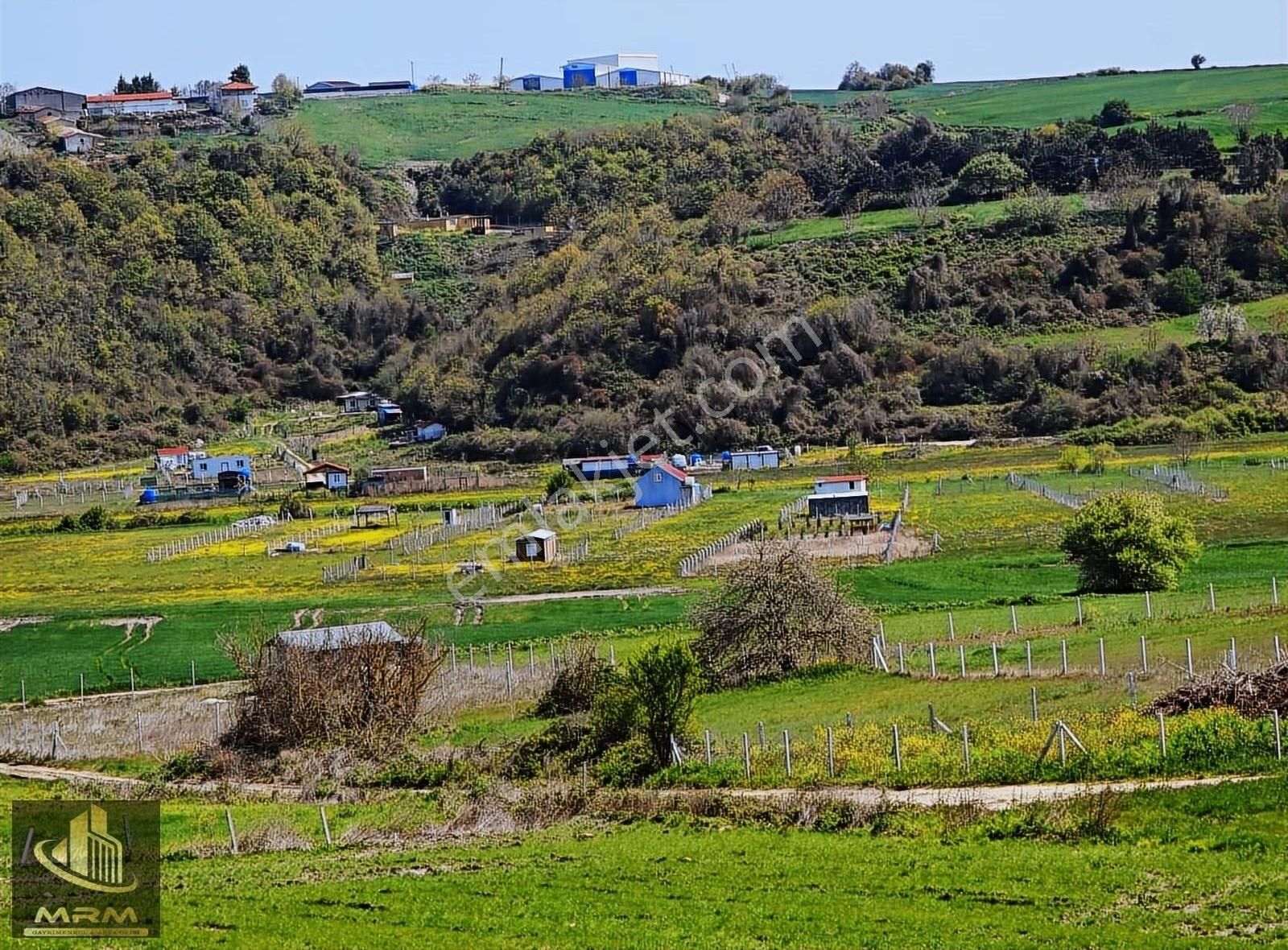 Mrm Gayrimenkul'den Çatalca Yazlık Köyde Güzel Konumda - Görsel 14
