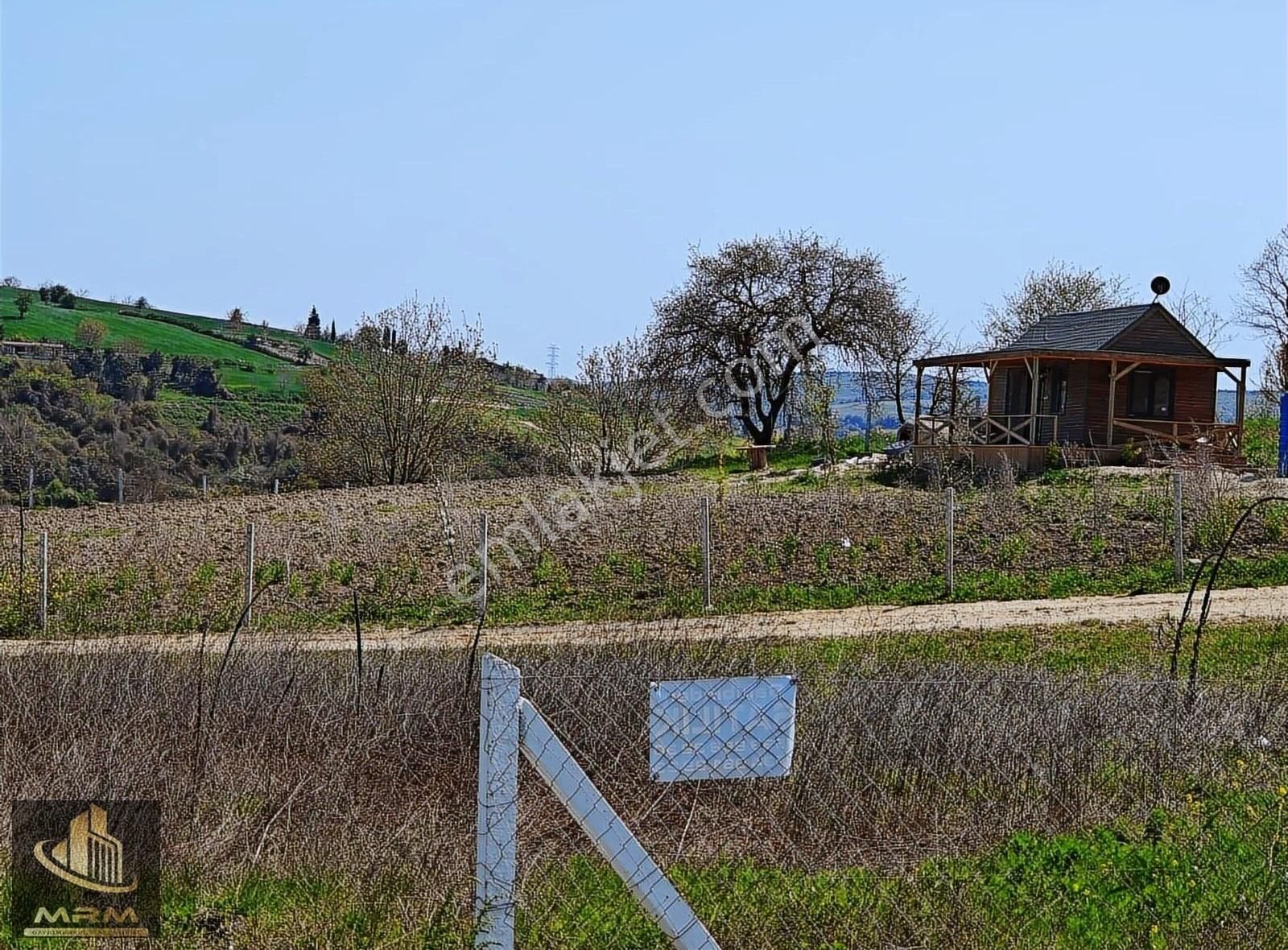 Mrm Gayrimenkul'den Çatalca Yazlık Köyde Güzel Konumda - Görsel 13