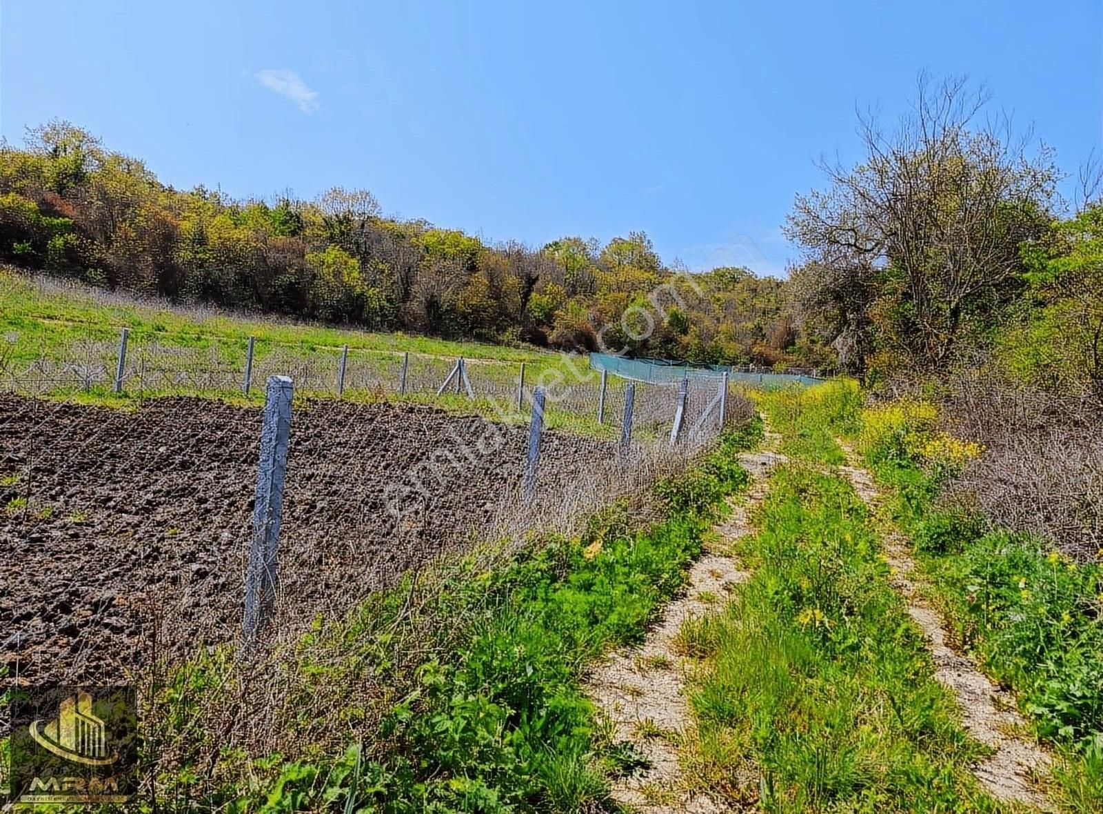Mrm Gayrimenkul'den Çatalca Yazlık Köyde Güzel Konumda - Görsel 12