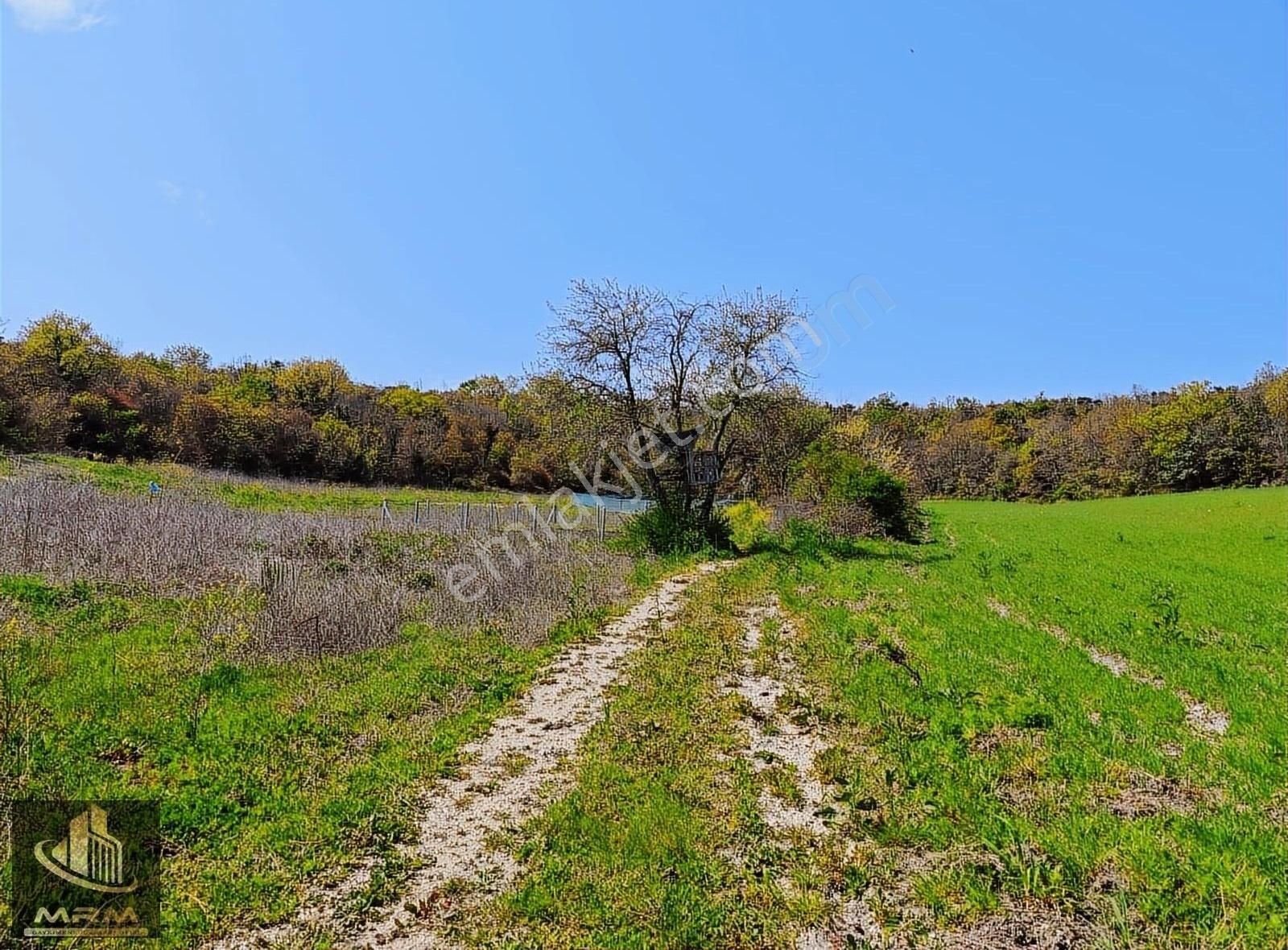 Mrm Gayrimenkul'den Çatalca Yazlık Köyde Güzel Konumda - Görsel 7