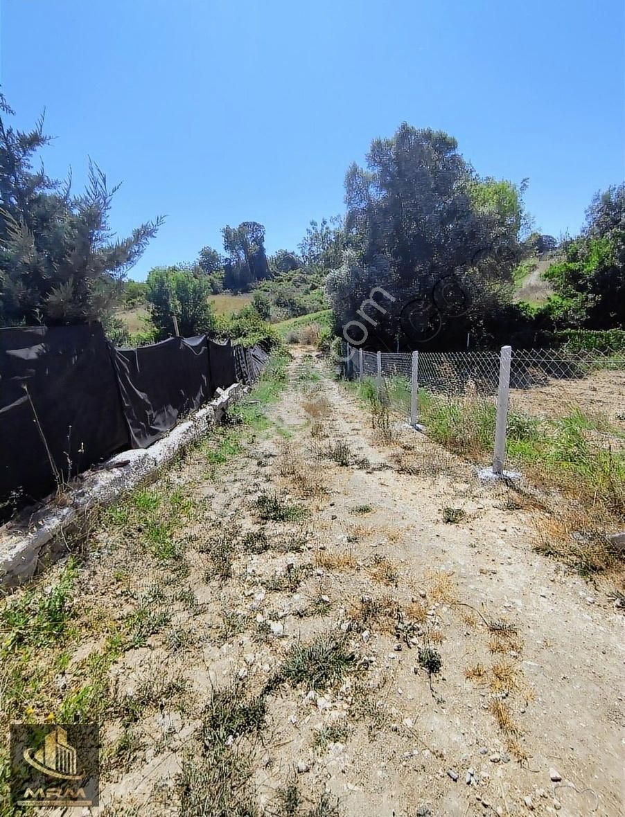 Mrm Gayrimenkul'den Satılık Dağyenice Satılık Tarla - Görsel 20