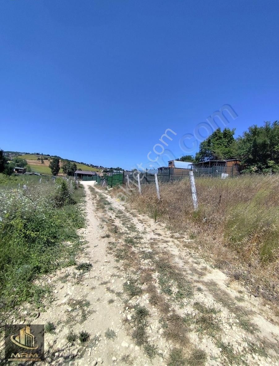 Mrm Gayrimenkul'den Satılık Dağyenice Satılık Tarla - Görsel 9