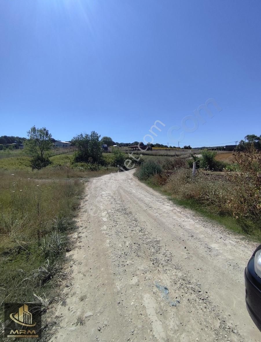 Mrm Gayrimenkul'den Satılık Dağyenice Satılık Tarla - Görsel 8