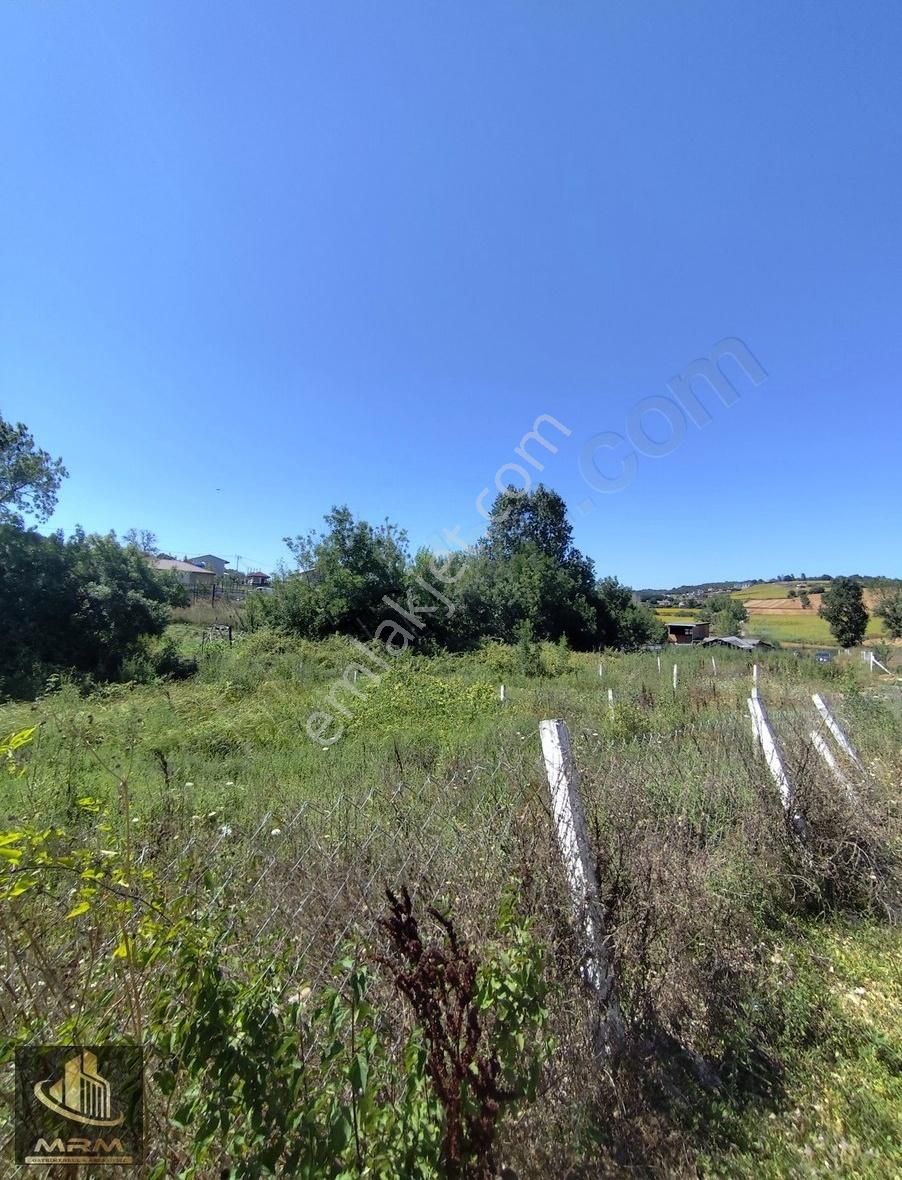 Mrm Gayrimenkul'den Satılık Dağyenice Satılık Tarla - Görsel 2