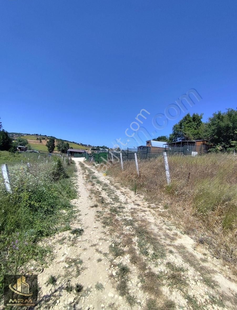 Mrm Gayrimenkul'den Satılık Dağyenice Satılık Tarla - Görsel 24