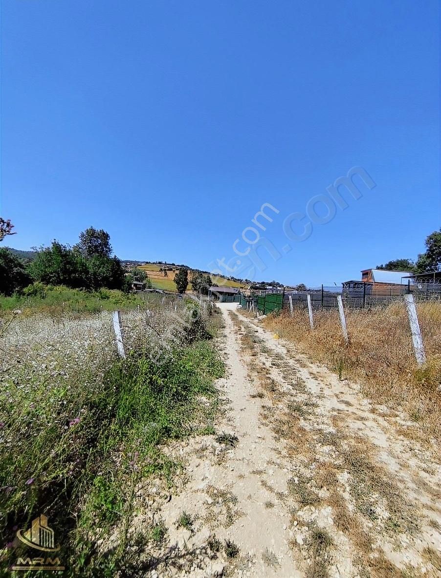 Mrm Gayrimenkul'den Satılık Dağyenice Satılık Tarla - Görsel 11