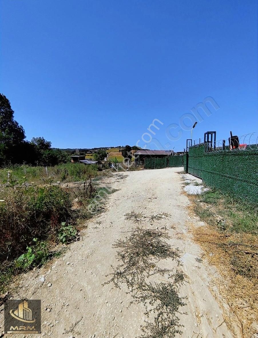 Mrm Gayrimenkul'den Satılık Dağyenice Satılık Tarla - Görsel 33