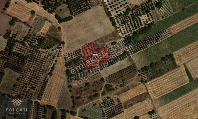 Yolçatı'da Fırsat Arazi - Görsel 2