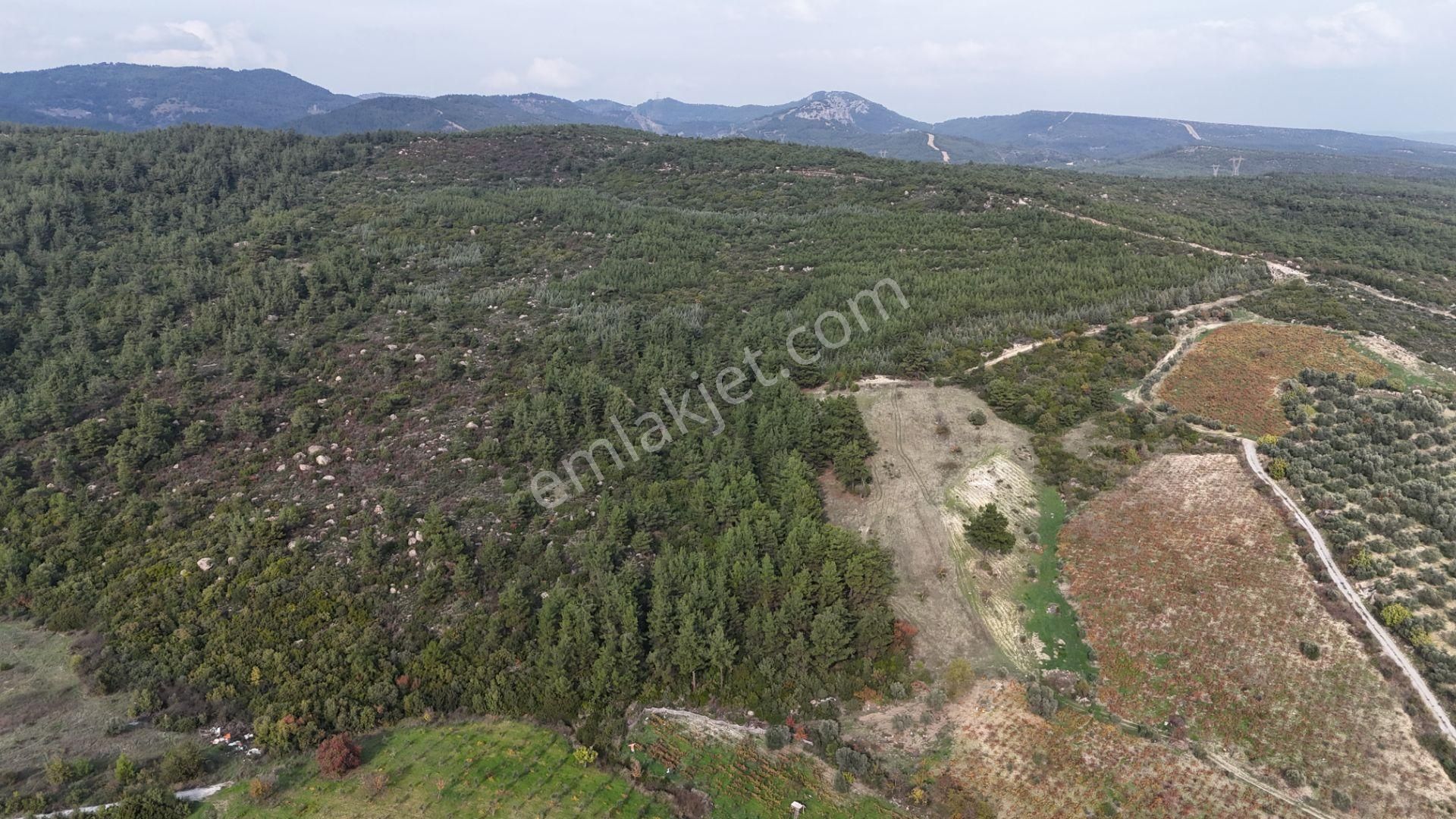 İzmir Menderes Çatalcada Tek Tapu 2 Hissede Alabilir Elektrik Su Var - Görsel 22