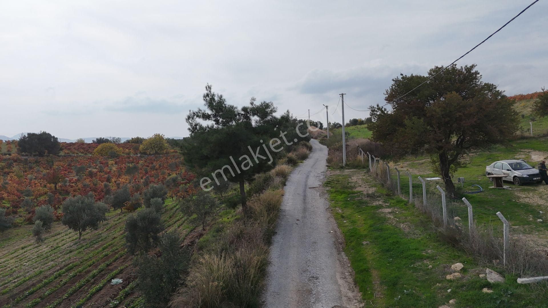 İzmir Menderes Çatalcada Tek Tapu 2 Hissede Alabilir Elektrik Su Var - Görsel 35