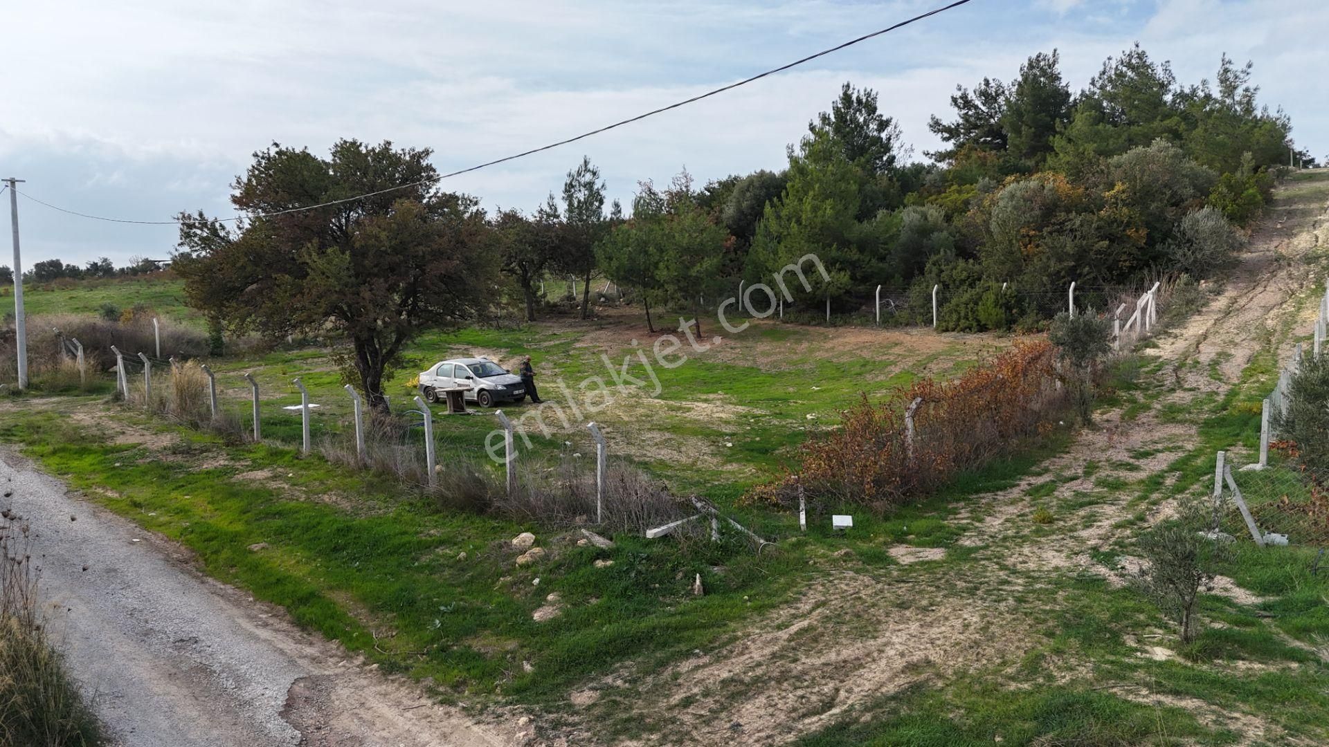 İzmir Menderes Çatalcada Tek Tapu 2 Hissede Alabilir Elektrik Su Var - Görsel 8