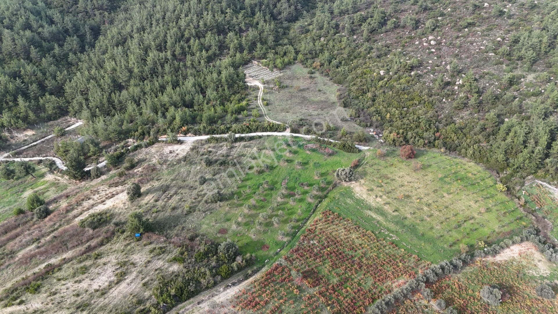 İzmir Menderes Çatalcada Tek Tapu 2 Hissede Alabilir Elektrik Su Var - Görsel 31