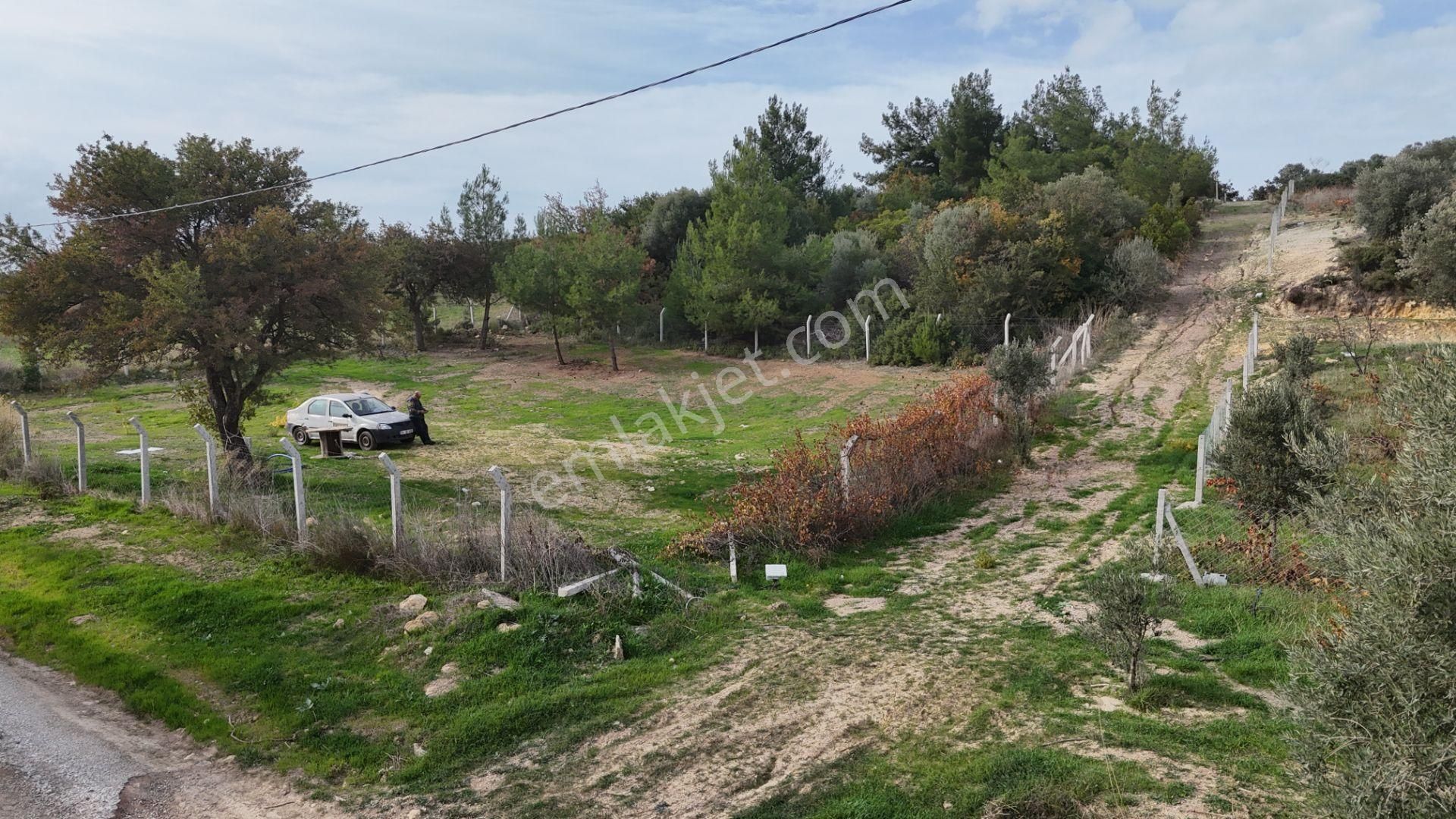 İzmir Menderes Çatalcada Tek Tapu 2 Hissede Alabilir Elektrik Su Var - Görsel 9