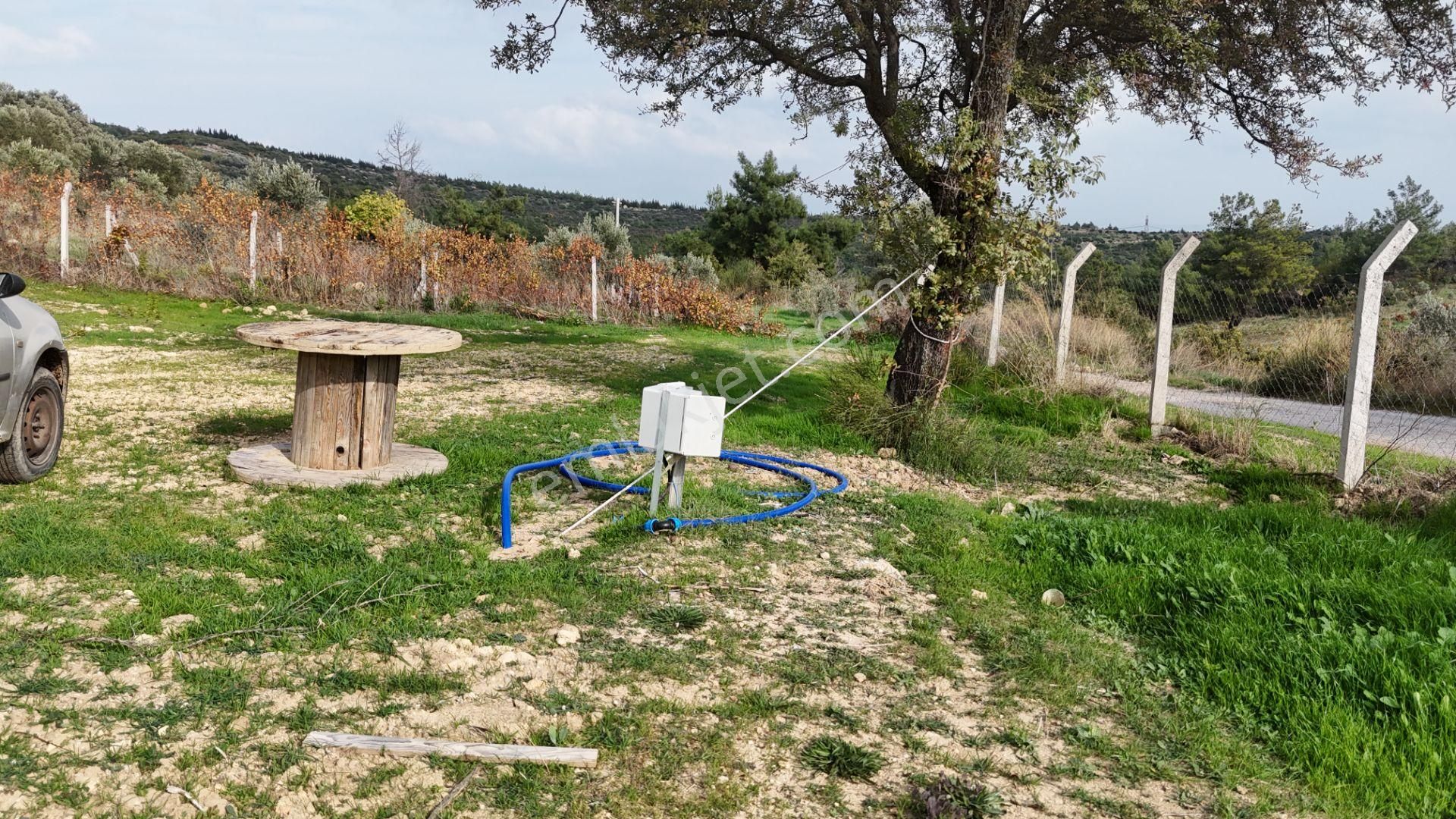 İzmir Menderes Çatalcada Tek Tapu 2 Hissede Alabilir Elektrik Su Var - Görsel 5