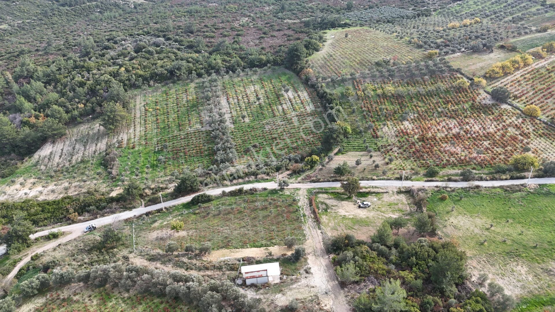İzmir Menderes Çatalcada Tek Tapu 2 Hissede Alabilir Elektrik Su Var - Görsel 27