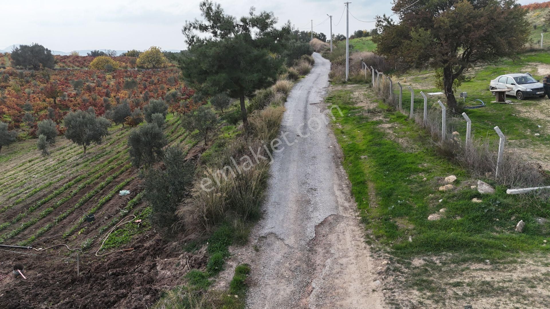 İzmir Menderes Çatalcada Tek Tapu 2 Hissede Alabilir Elektrik Su Var - Görsel 29