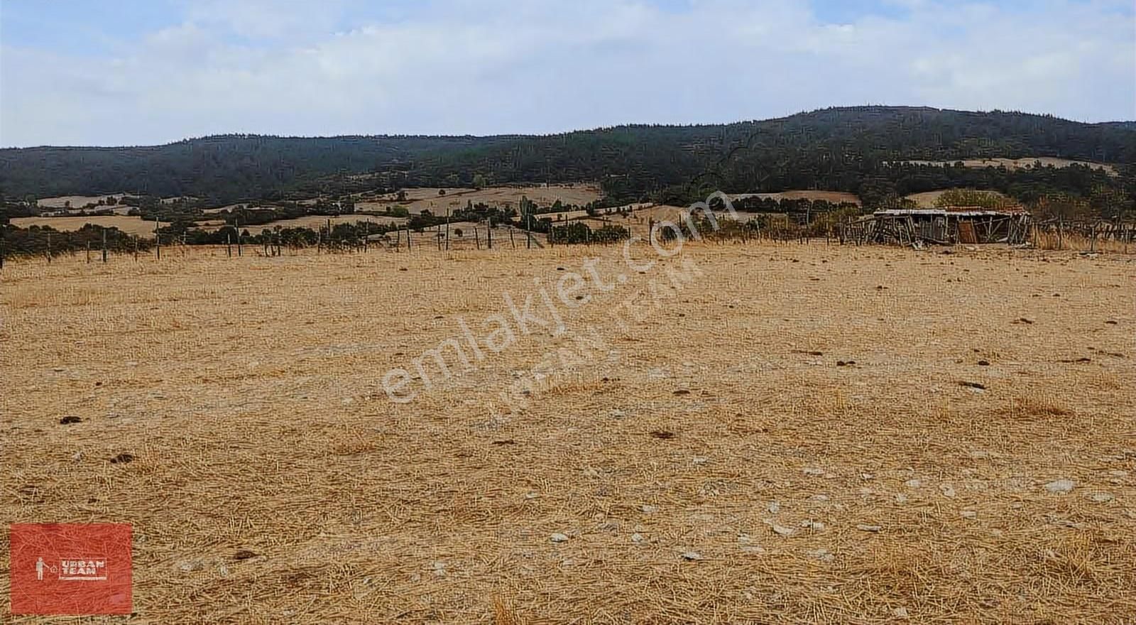 Çanakkale Lapseki Çamyurtta Kupon Arsa - Görsel 2