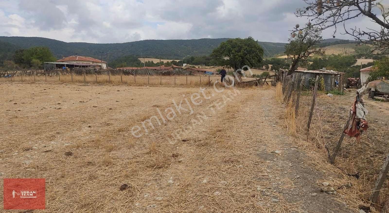 Çanakkale Lapseki Çamyurtta Kupon Arsa