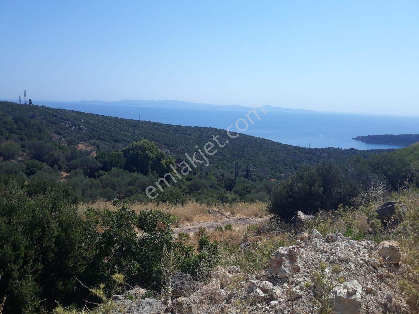 Karaburun Ambarzekı Koyunde Denıze Yakın Manzaralı - Görsel 2