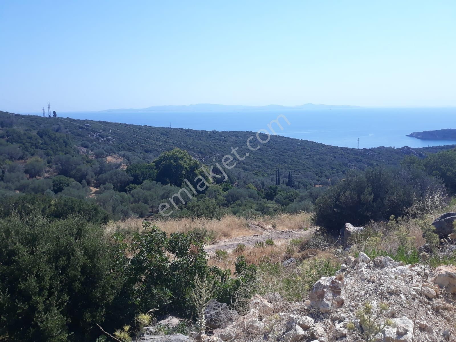 Karaburun Ambarzekı Koyunde Denıze Yakın Manzaralı