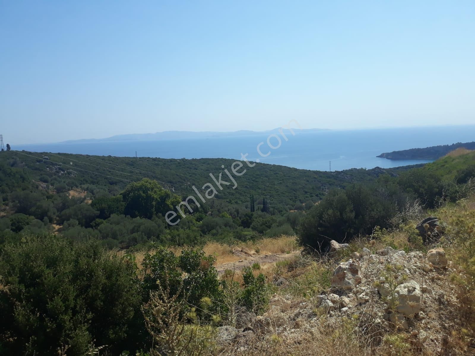 Karaburun Ambarzekı Koyunde Denıze Yakın Manzaralı - Görsel 4