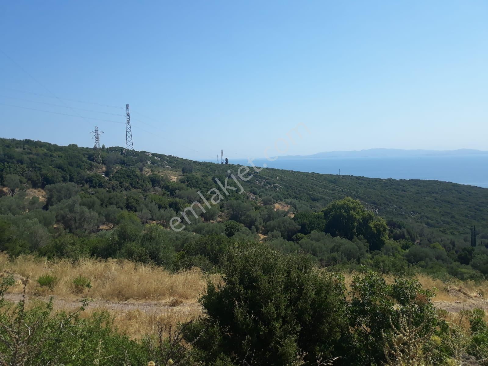 Karaburun Ambarzekı Koyunde Denıze Yakın Manzaralı - Görsel 5