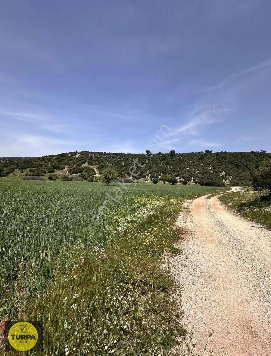 Mendereste Tek Tapu Fırsat Tarla - Görsel 9