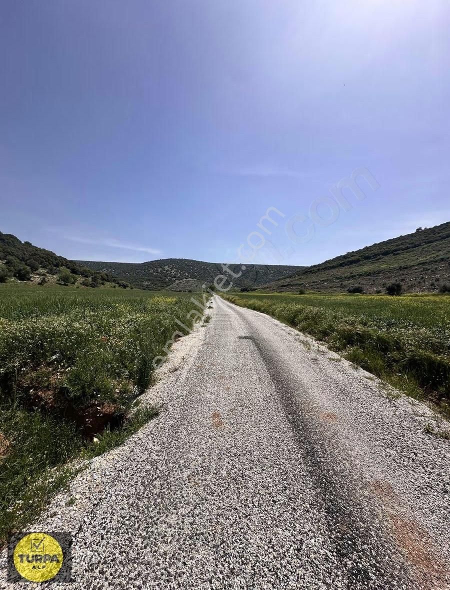 Mendereste Tek Tapu Fırsat Tarla - Görsel 4