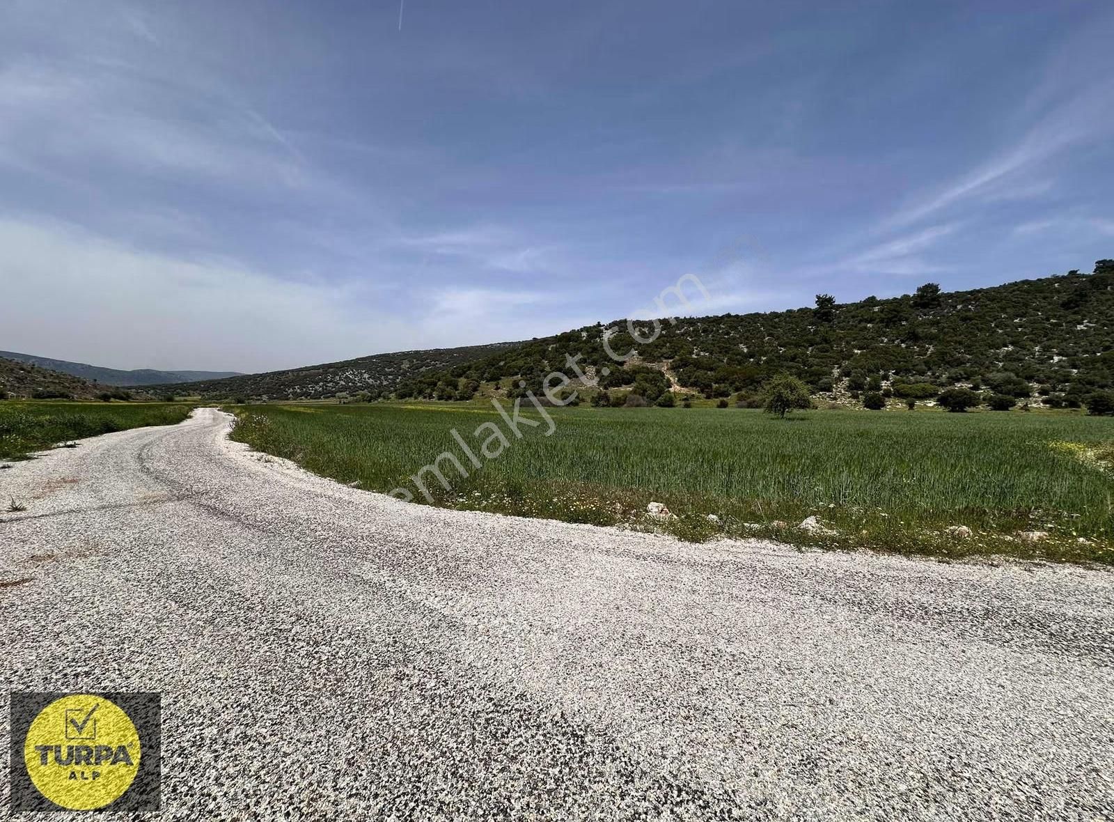 Mendereste Tek Tapu Fırsat Tarla - Görsel 6
