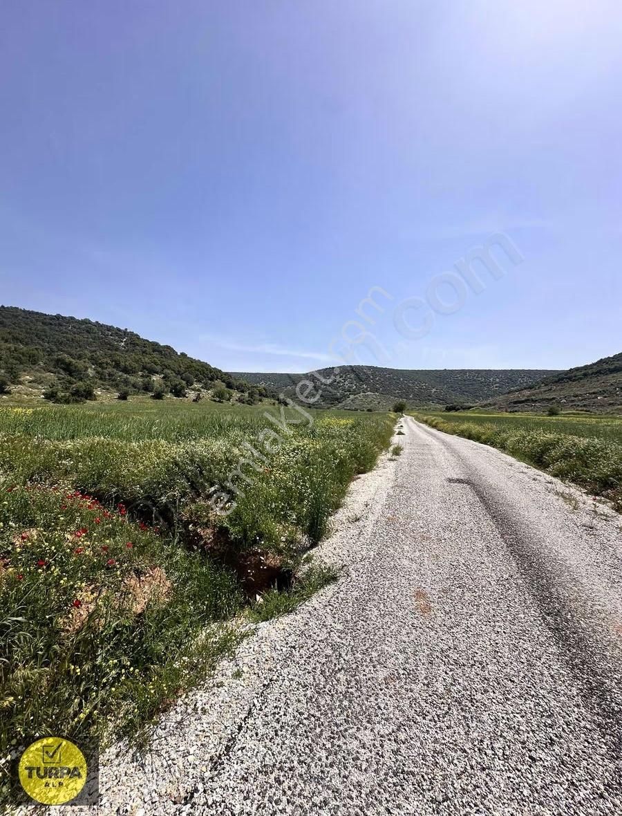 Mendereste Tek Tapu Fırsat Tarla - Görsel 8