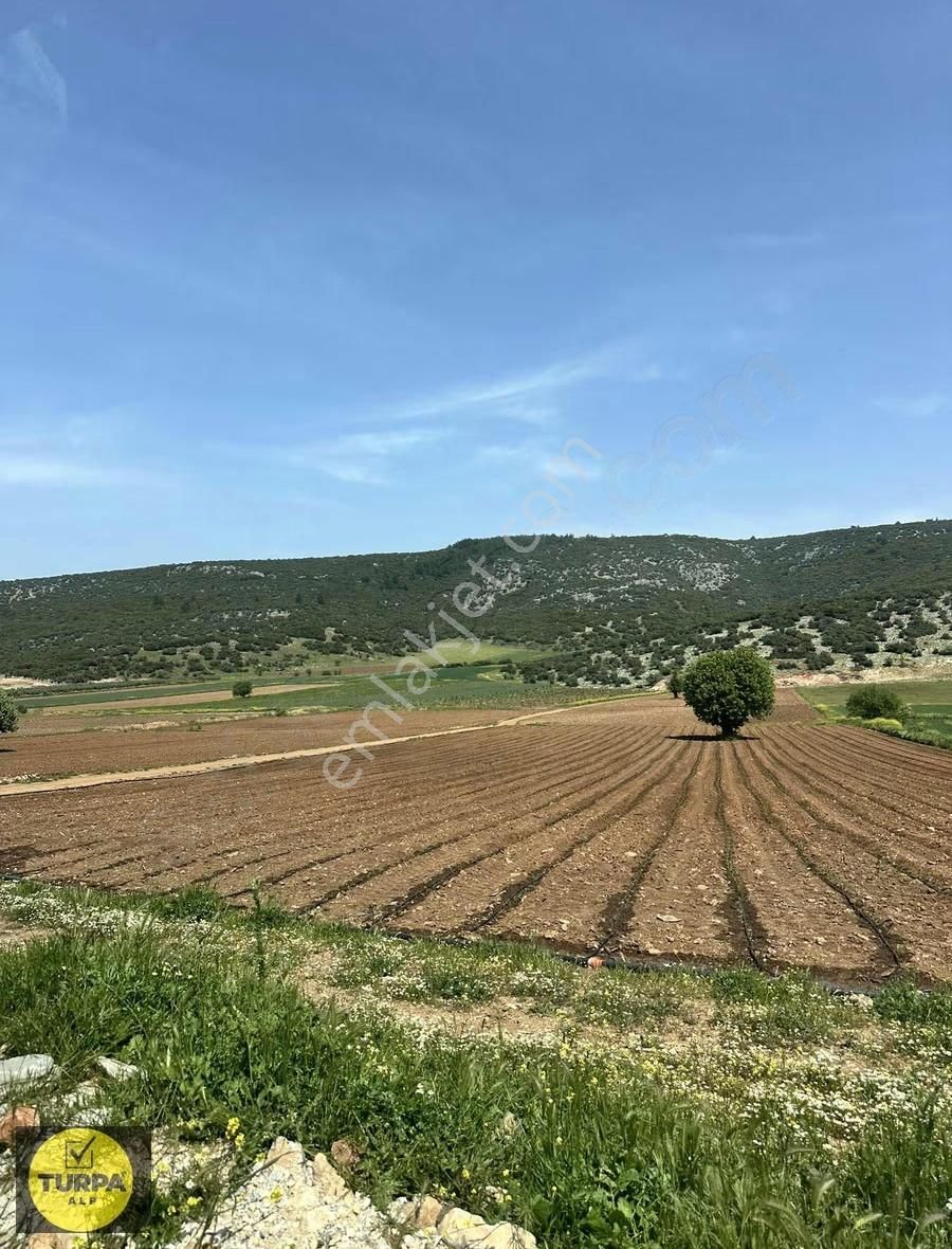Mendereste Tek Tapu Fırsat Tarla