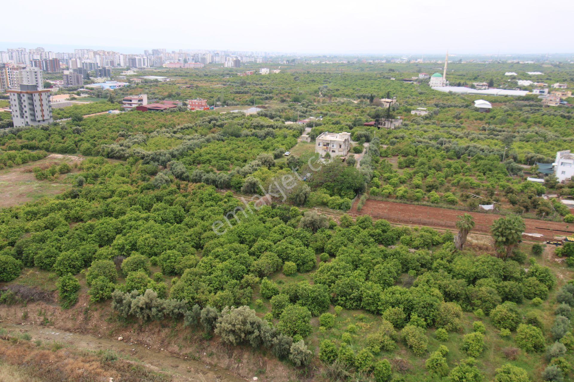Mezitli Akdenizde Havuzlu Sıfır 1+1 Site İçi - Görsel 18