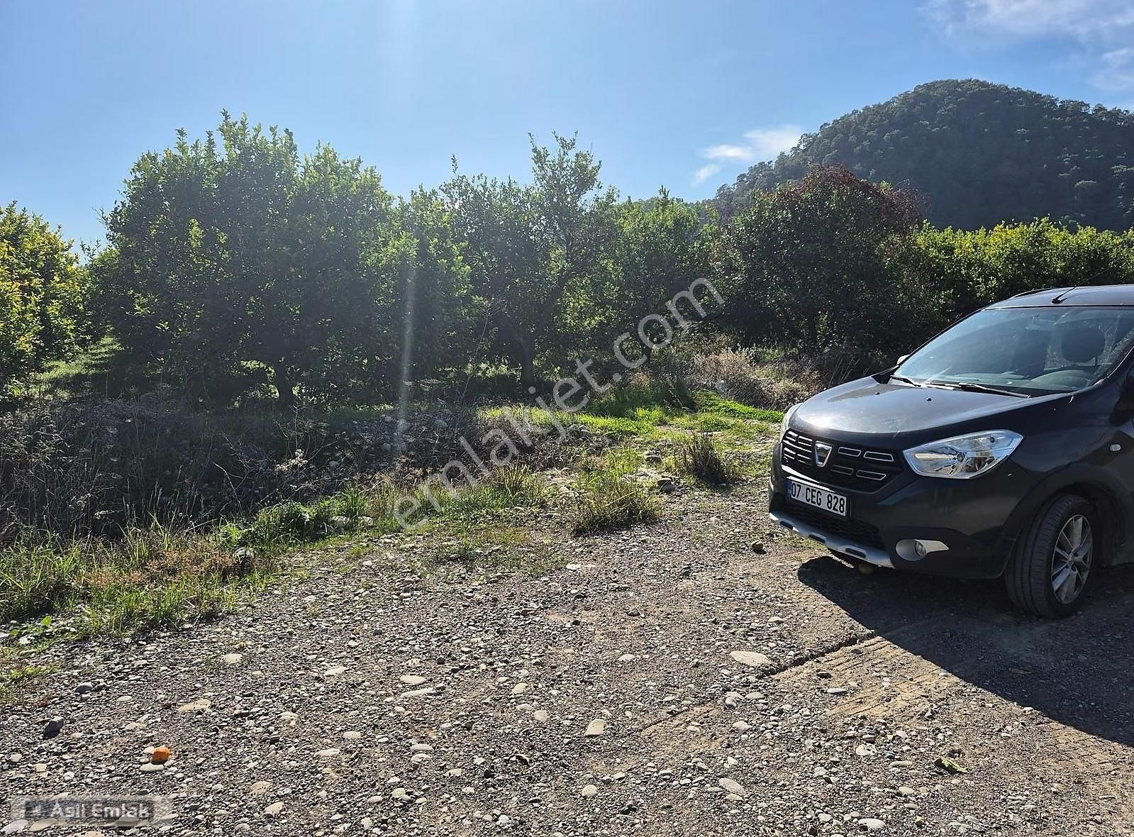 Asil Emlaktan Ortaca Çaylı Mah. De Satılık 7 Dönüm Tarla - Görsel 3