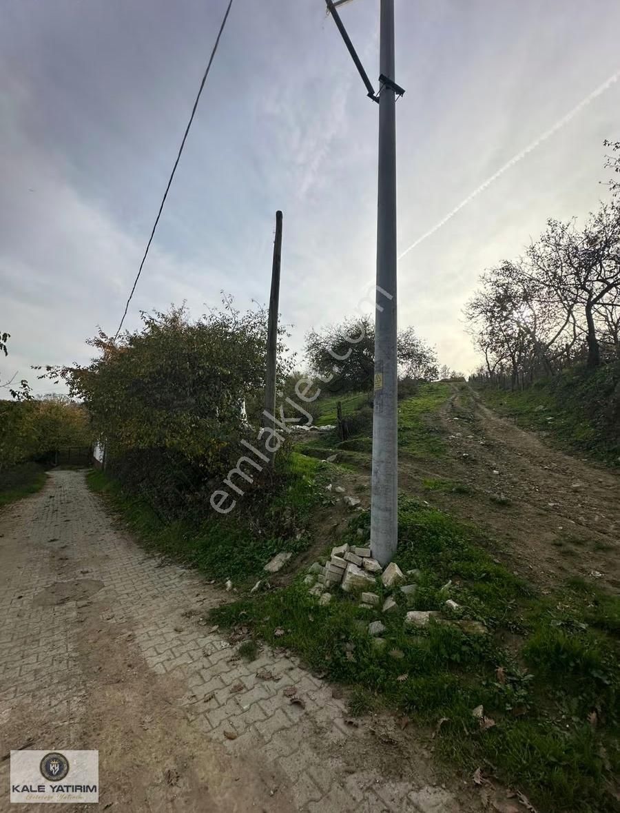 Kaleden Fındıklıda 3135m 5ev Ve Bahçe Yapımına Uygun İmarlı Arsa - Görsel 11