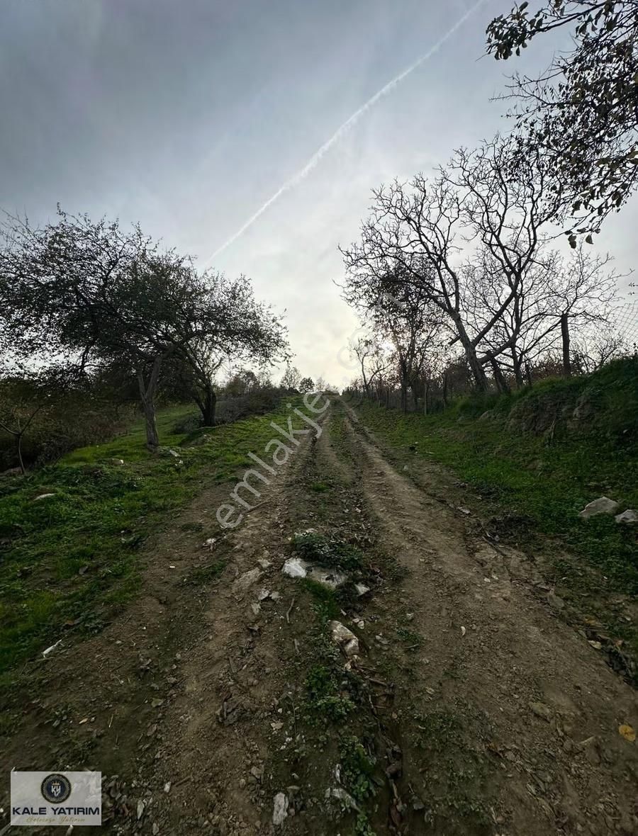 Kaleden Fındıklıda 3135m 5ev Ve Bahçe Yapımına Uygun İmarlı Arsa - Görsel 2