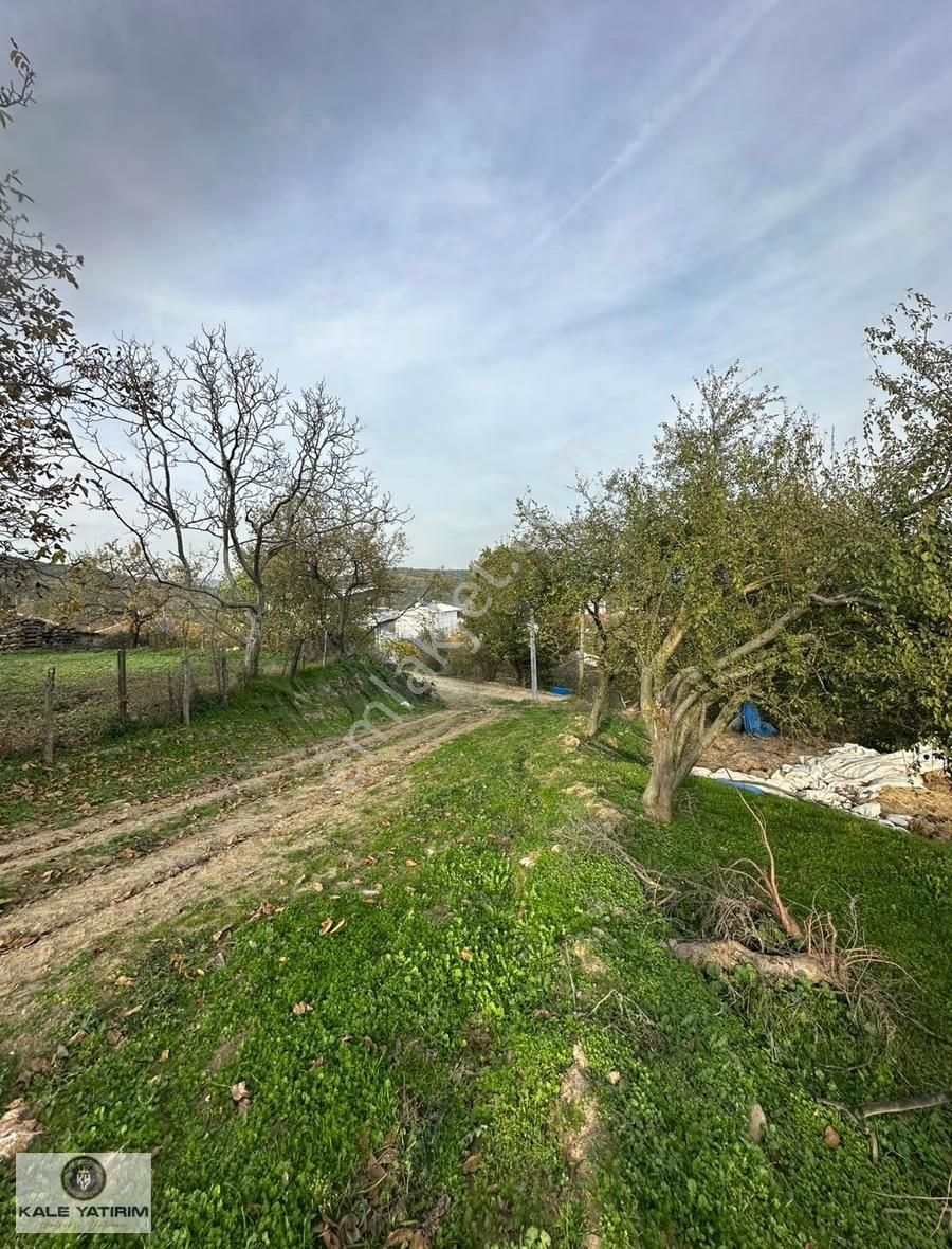 Kaleden Fındıklıda 3135m 5ev Ve Bahçe Yapımına Uygun İmarlı Arsa - Görsel 4