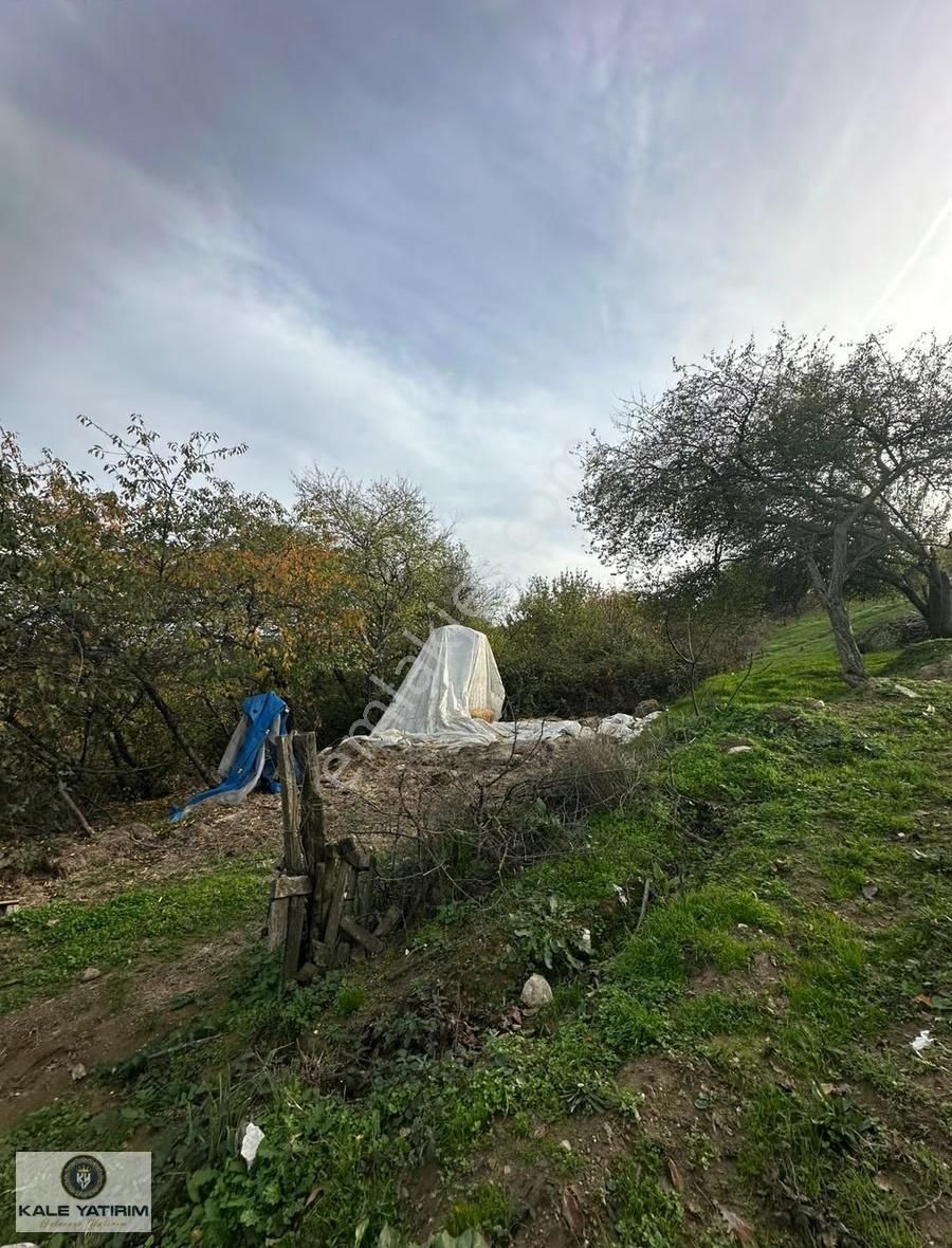 Kaleden Fındıklıda 3135m 5ev Ve Bahçe Yapımına Uygun İmarlı Arsa - Görsel 14