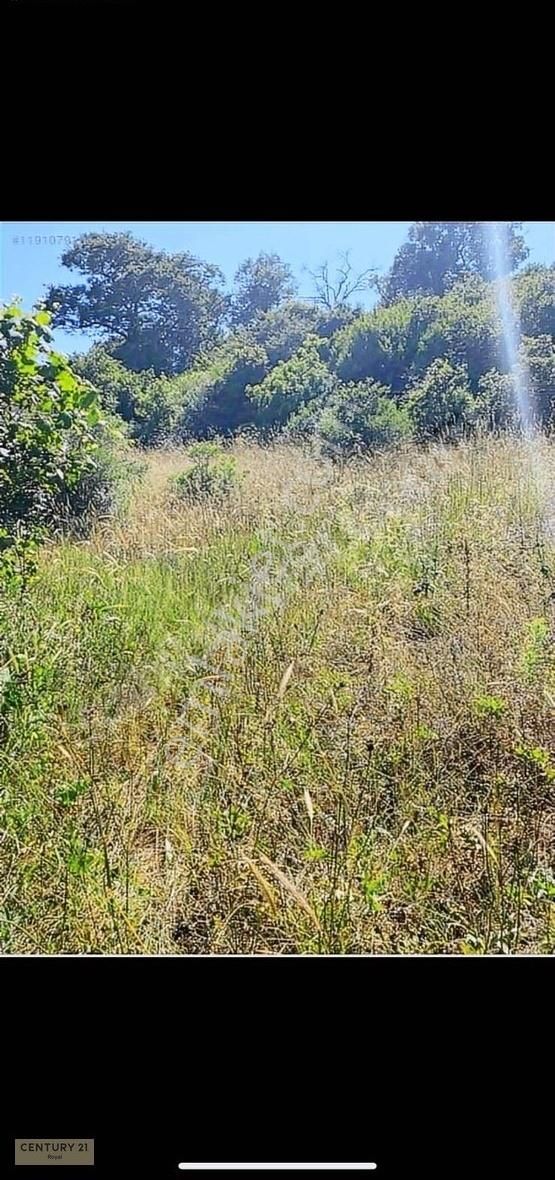 Biga Bezirganlar'da Tek Tapu Satılık Fırsat Tarla - Görsel 2