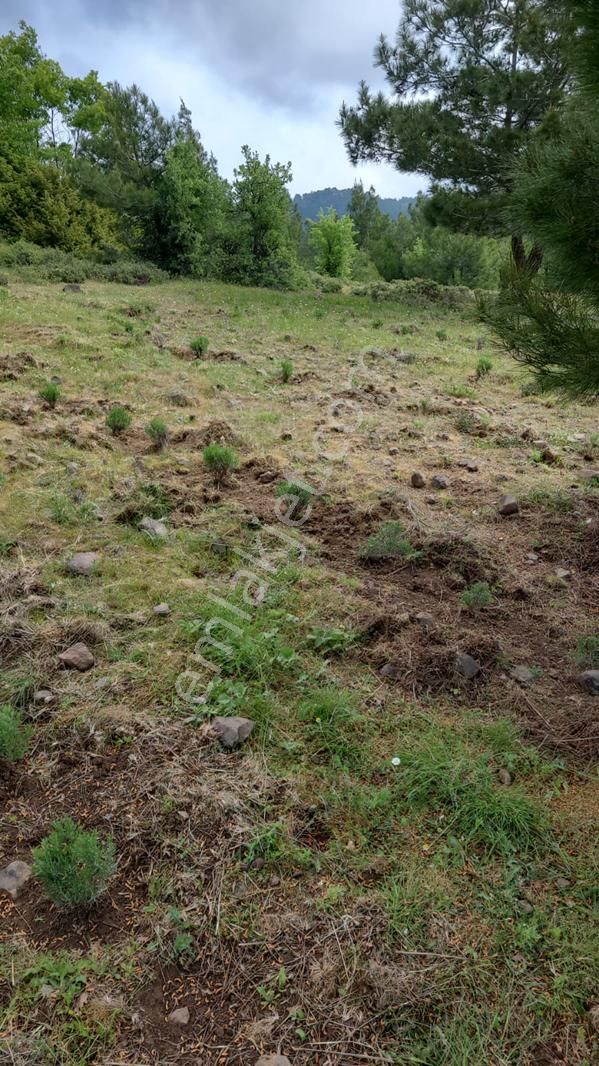 Bayramiç / Kaykılar Tarla 15 Dönüm - Görsel 6