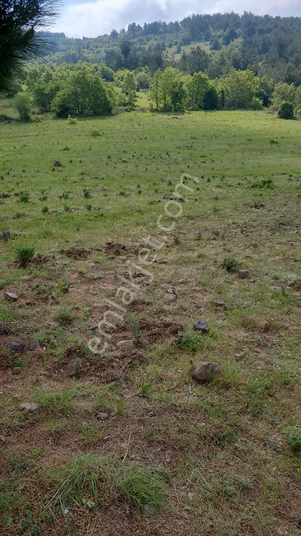 Bayramiç / Kaykılar Tarla 15 Dönüm - Görsel 3