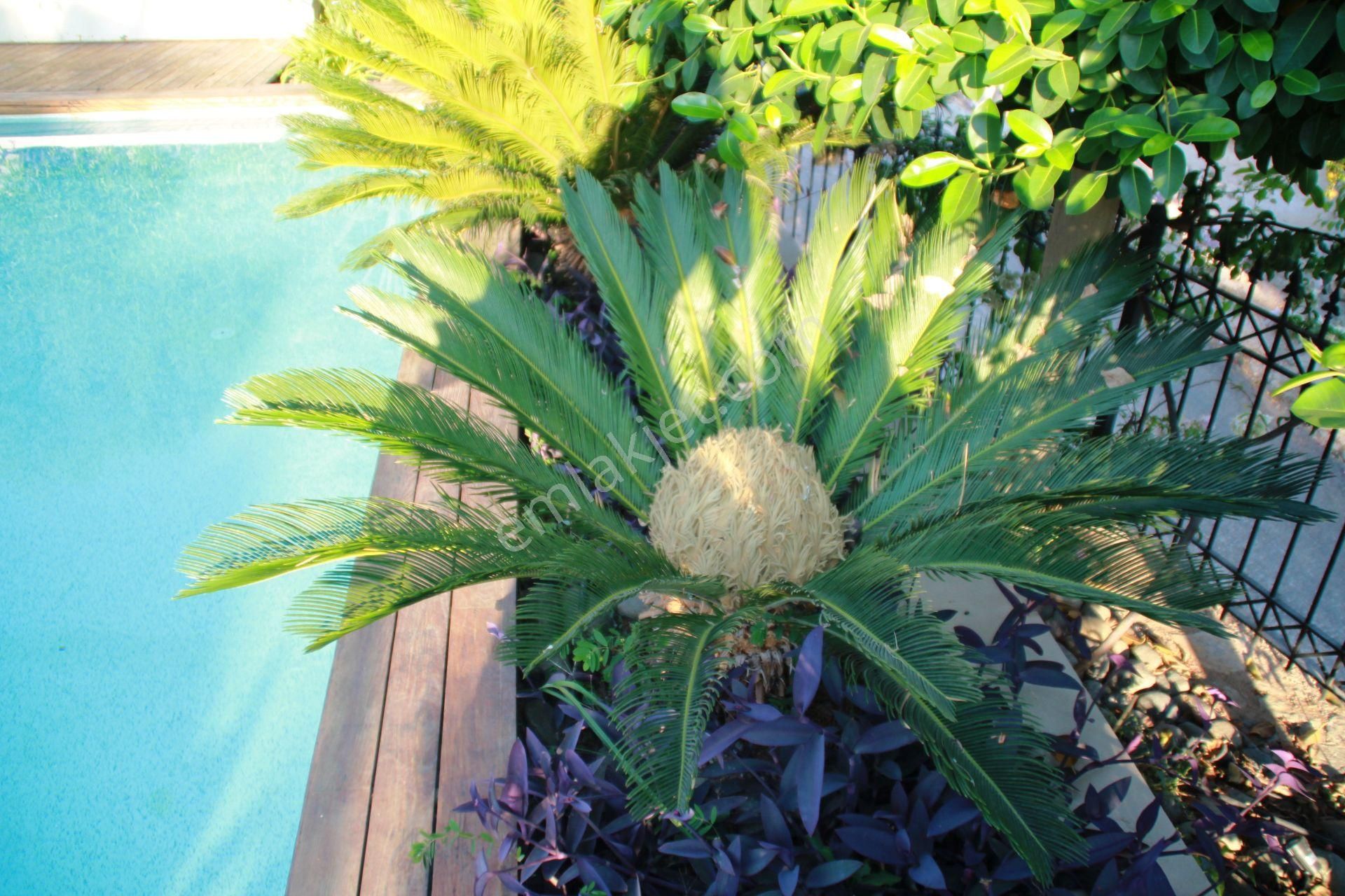 Bodrum Kumbahçe'de Havuzlu Site İçi Satılık Deniz Manzaralı Daire - Görsel 13