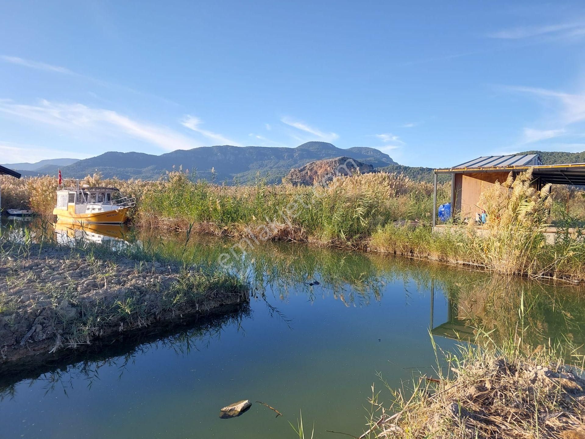 Muğla Ortaca Dalyan’da Kanal Kenarında Tekne Bağlama Yeri Olan Konteyner – Satılık - Görsel 3