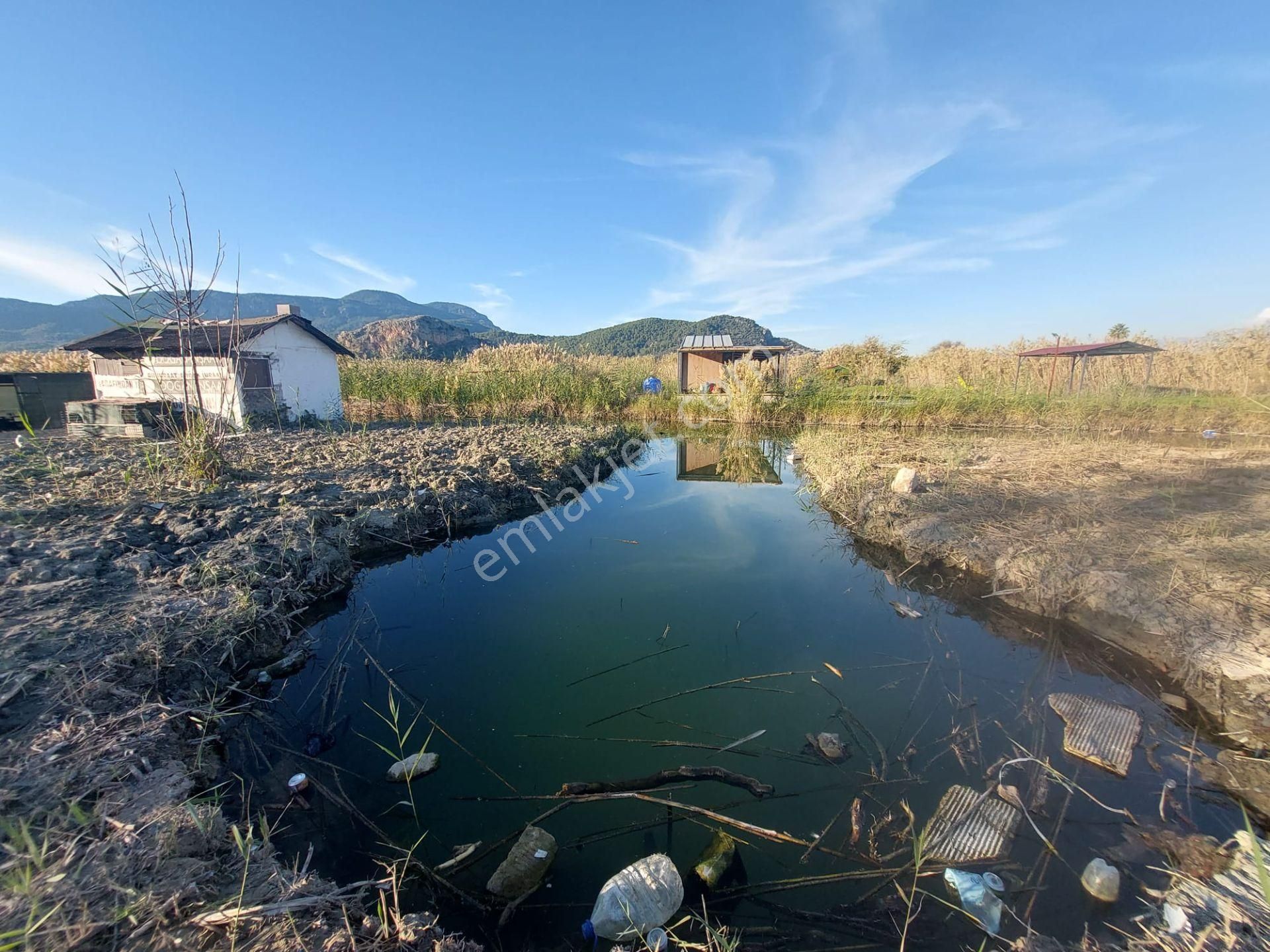 Muğla Ortaca Dalyan’da Kanal Kenarında Tekne Bağlama Yeri Olan Konteyner – Satılık - Görsel 4