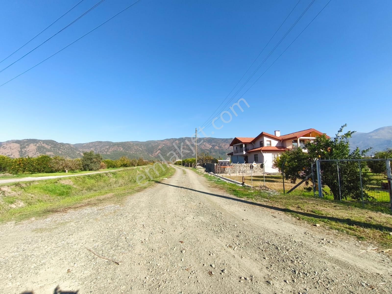 Tuana Emlak'tan Toparlarda 4.175m² Narenciye Bahçesi - Görsel 3