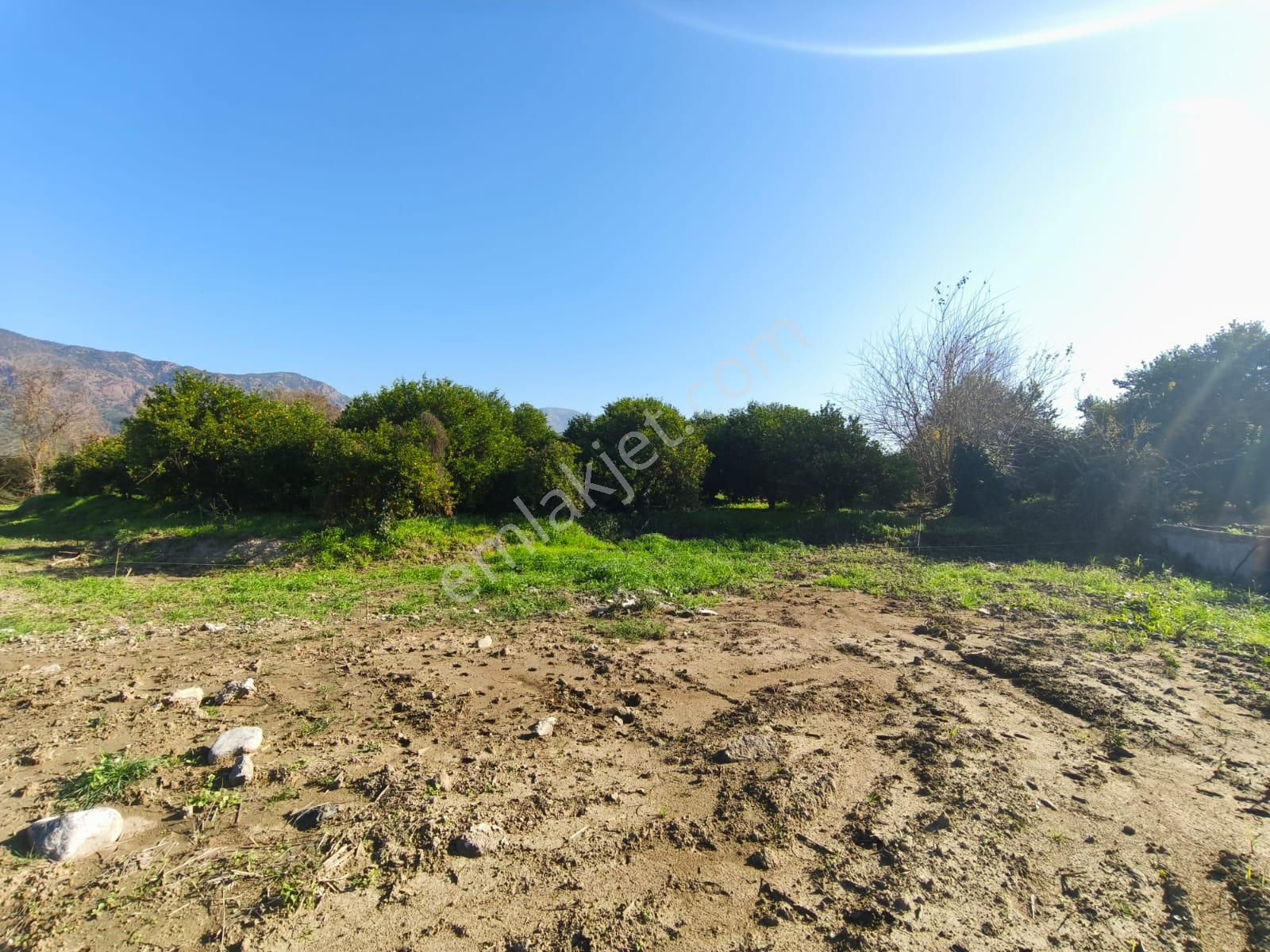 Tuana Emlak'tan Toparlarda 4.175m² Narenciye Bahçesi - Görsel 35