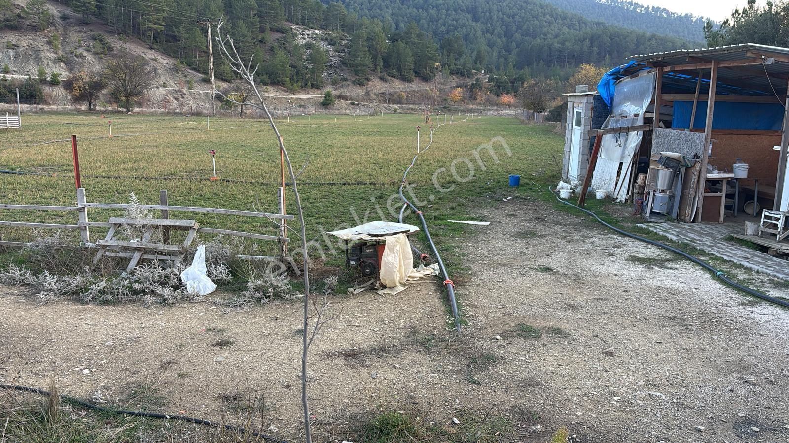 Burdur Ağlasun Hisarköyde Satılık Çiftlik Ve Besihane - Görsel 3